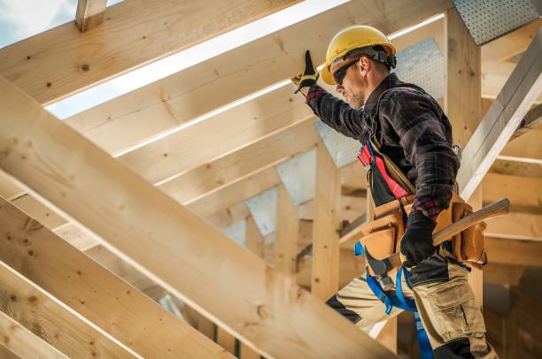 Best Roof Gutter Cleaning  in Fort Polk North, LA