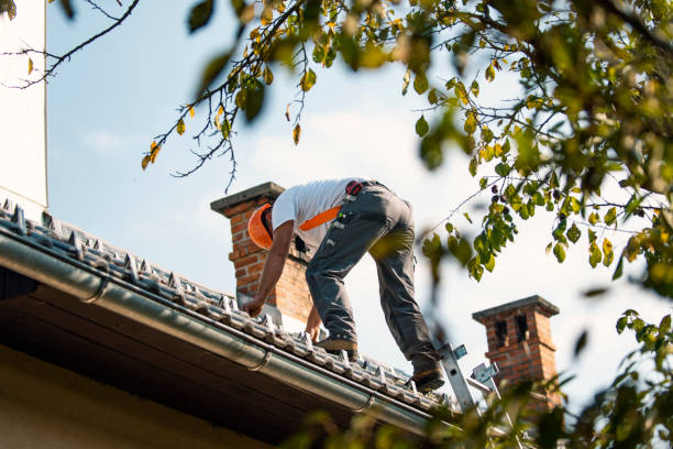 Best Metal Roofing Contractor  in Fort Polk North, LA